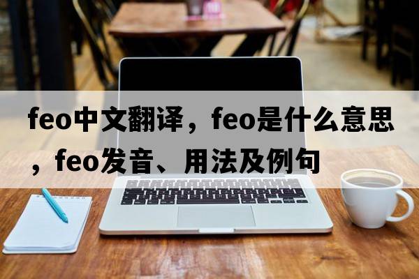 FEO中文翻譯，FEO是什么意思，FEO發(fā)音、用法及例句