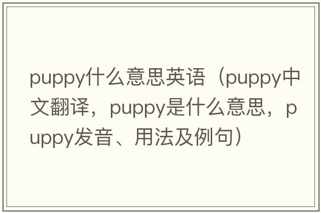 puppy什么意思英語(yǔ)（puppy中文翻譯，puppy是什么意思，puppy發(fā)音、用法及例句）