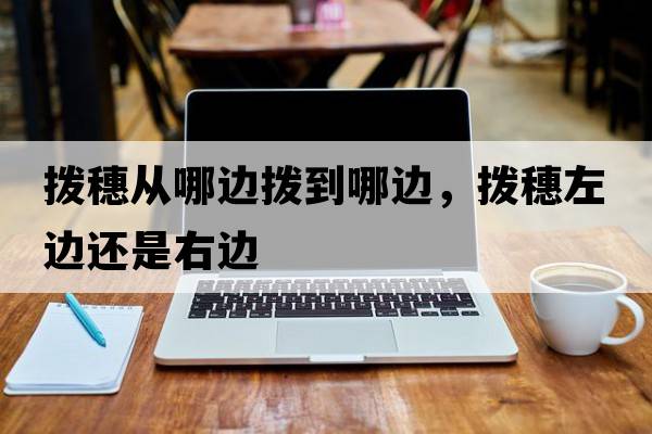 撥穗從哪邊撥到哪邊，撥穗左邊還是右邊