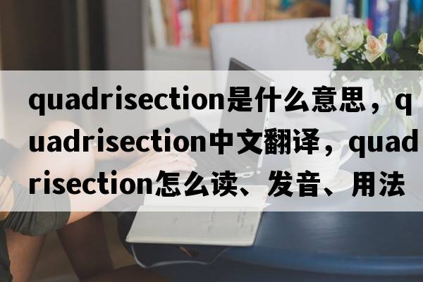 quadrisection是什么意思，quadrisection中文翻譯，quadrisection怎么讀、發(fā)音、用法及例句