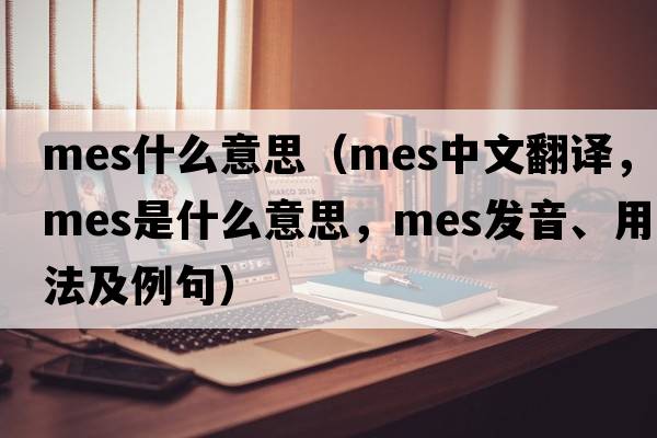 mes什么意思（mes中文翻譯，mes是什么意思，mes發(fā)音、用法及例句）