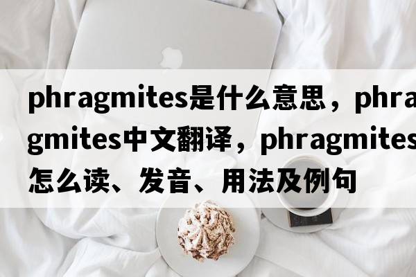 Phragmites是什么意思，Phragmites中文翻譯，Phragmites怎么讀、發(fā)音、用法及例句