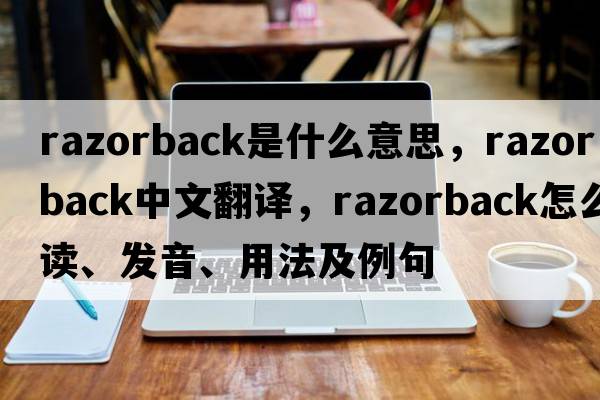 razorback是什么意思，razorback中文翻譯，razorback怎么讀、發(fā)音、用法及例句