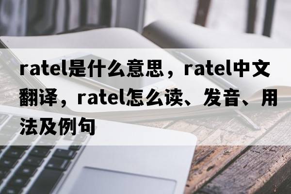 ratel是什么意思，ratel中文翻譯，ratel怎么讀、發(fā)音、用法及例句