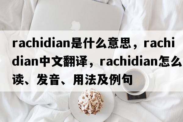 rachidian是什么意思，rachidian中文翻譯，rachidian怎么讀、發(fā)音、用法及例句