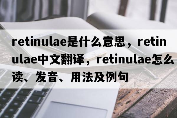 retinulae是什么意思，retinulae中文翻譯，retinulae怎么讀、發(fā)音、用法及例句