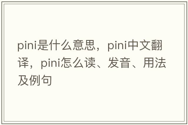 PINI是什么意思，PINI中文翻譯，PINI怎么讀、發(fā)音、用法及例句