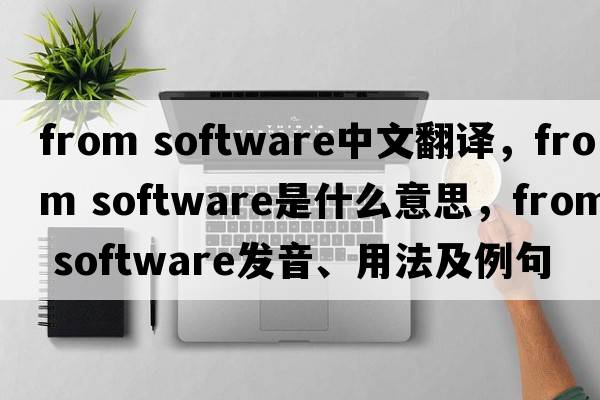 from software中文翻譯，from software是什么意思，from software發(fā)音、用法及例句