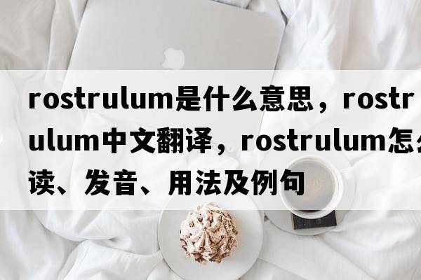 rostrulum是什么意思，rostrulum中文翻譯，rostrulum怎么讀、發(fā)音、用法及例句