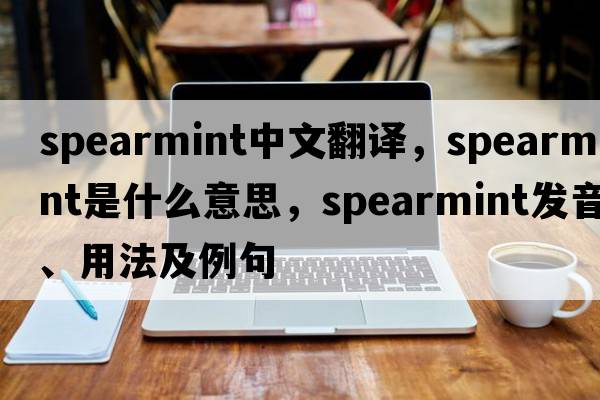 spearmint中文翻譯，spearmint是什么意思，spearmint發(fā)音、用法及例句