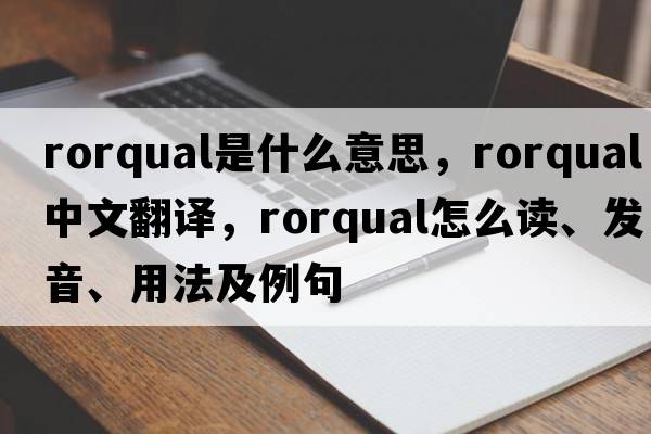 rorqual是什么意思，rorqual中文翻譯，rorqual怎么讀、發(fā)音、用法及例句