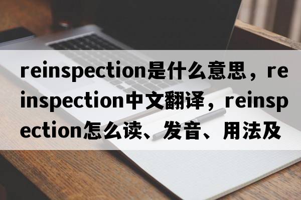 reinspection是什么意思，reinspection中文翻譯，reinspection怎么讀、發(fā)音、用法及例句