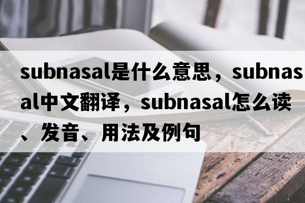 subnasal是什么意思，subnasal中文翻譯，subnasal怎么讀、發(fā)音、用法及例句