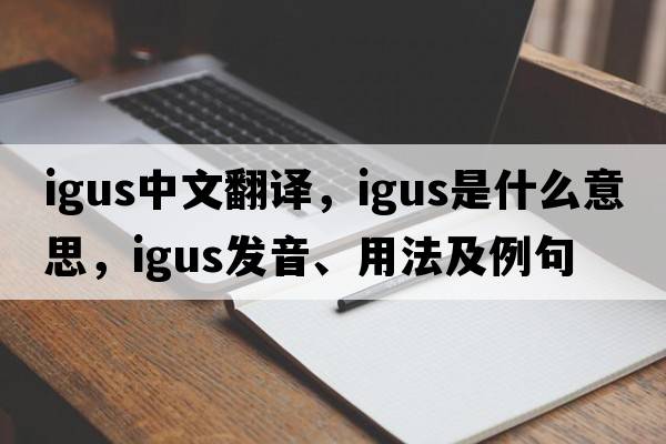 igus中文翻譯，igus是什么意思，igus發(fā)音、用法及例句