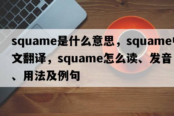 squame是什么意思，squame中文翻譯，squame怎么讀、發(fā)音、用法及例句