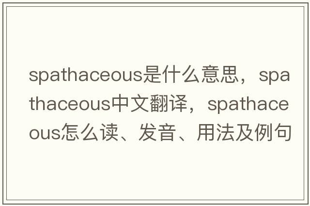spathaceous是什么意思，spathaceous中文翻譯，spathaceous怎么讀、發(fā)音、用法及例句