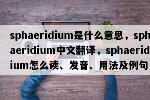 sphaeridium是什么意思，sphaeridium中文翻譯，sphaeridium怎么讀、發(fā)音、用法及例句