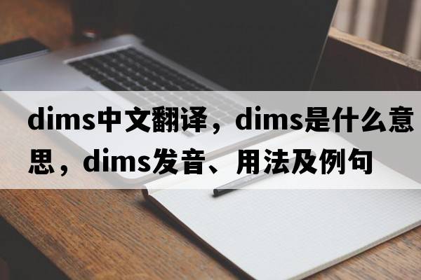 dims中文翻譯，dims是什么意思，dims發(fā)音、用法及例句