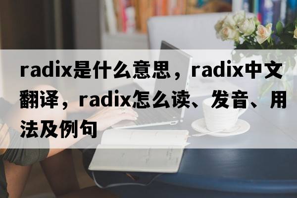 radix是什么意思，radix中文翻譯，radix怎么讀、發(fā)音、用法及例句