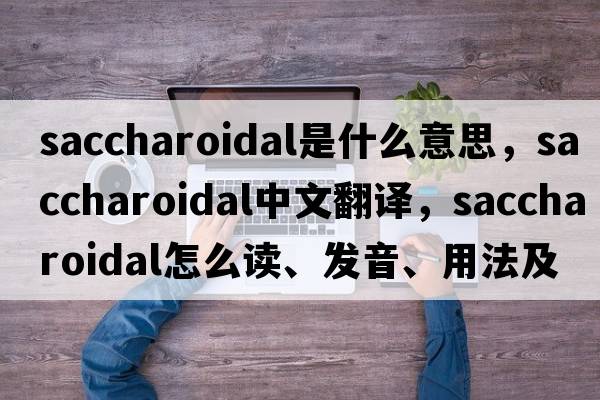 saccharoidal是什么意思，saccharoidal中文翻譯，saccharoidal怎么讀、發(fā)音、用法及例句