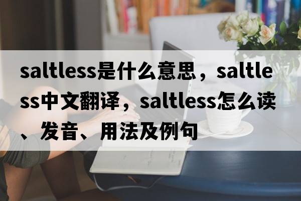saltless是什么意思，saltless中文翻譯，saltless怎么讀、發(fā)音、用法及例句
