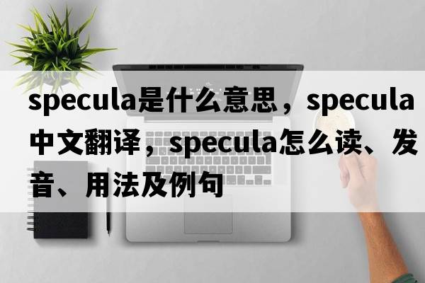 specula是什么意思，specula中文翻譯，specula怎么讀、發(fā)音、用法及例句