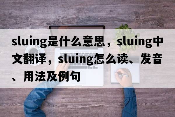 sluing是什么意思，sluing中文翻譯，sluing怎么讀、發(fā)音、用法及例句
