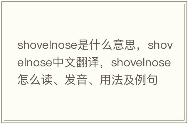 shovelnose是什么意思，shovelnose中文翻譯，shovelnose怎么讀、發(fā)音、用法及例句