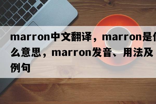marron中文翻譯，marron是什么意思，marron發(fā)音、用法及例句