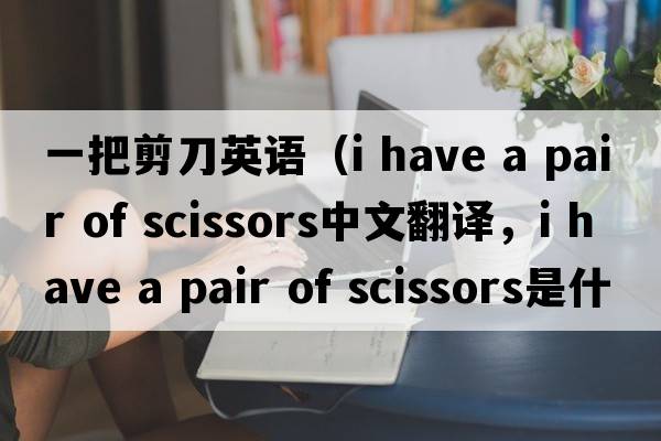 一把剪刀英語(yǔ)（i have a pair of scissors中文翻譯，i have a pair of scissors是什么意思，i have a pair of scissors發(fā)音、用法及例