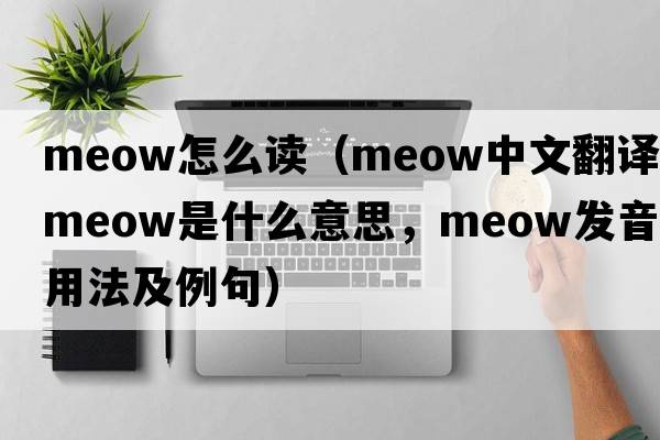 meow怎么讀（meow中文翻譯，meow是什么意思，meow發(fā)音、用法及例句）