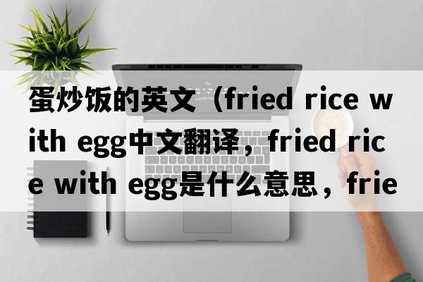 蛋炒飯的英文（fried rice with egg中文翻譯，fried rice with egg是什么意思，fried rice with egg發(fā)音、用法及例句）
