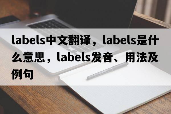 labels中文翻譯，labels是什么意思，labels發(fā)音、用法及例句