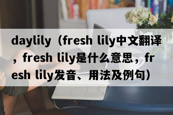 daylily（fresh lily中文翻譯，fresh lily是什么意思，fresh lily發(fā)音、用法及例句）