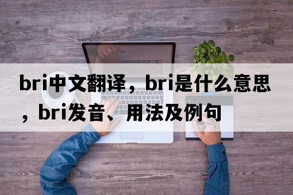 bri中文翻譯，bri是什么意思，bri發(fā)音、用法及例句