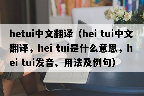 hetui中文翻譯（hei tui中文翻譯，hei tui是什么意思，hei tui發(fā)音、用法及例句）