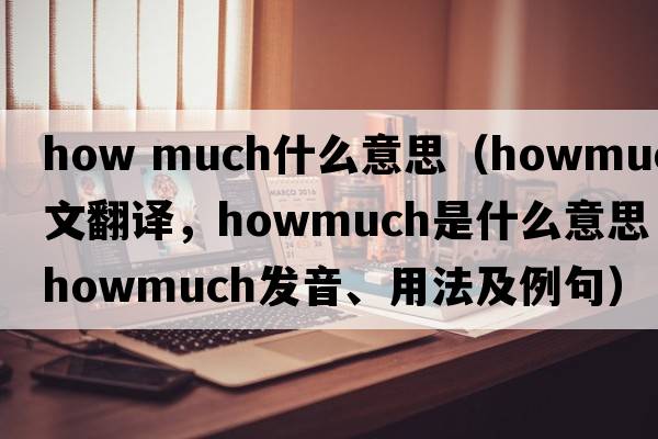 how much什么意思（howmuch中文翻譯，howmuch是什么意思，howmuch發(fā)音、用法及例句）