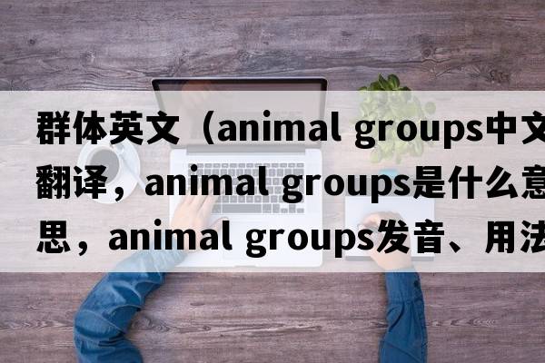 群體英文（animal groups中文翻譯，animal groups是什么意思，animal groups發(fā)音、用法及例句）