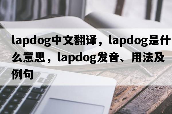 lapdog中文翻譯，lapdog是什么意思，lapdog發(fā)音、用法及例句