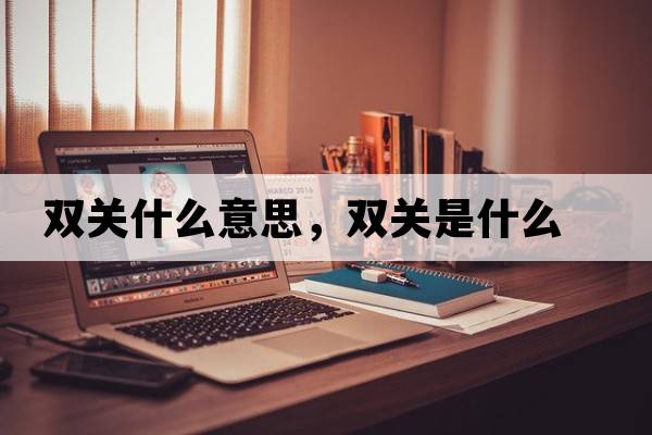 雙關(guān)什么意思，雙關(guān)是什么