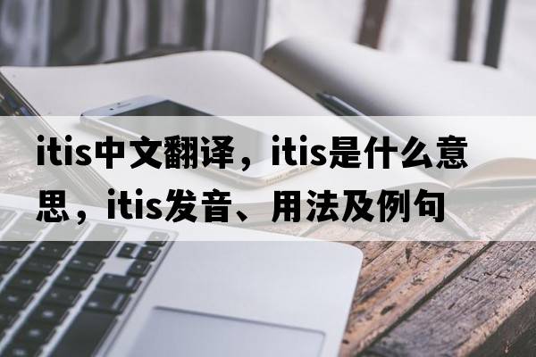 itis中文翻譯，itis是什么意思，itis發(fā)音、用法及例句
