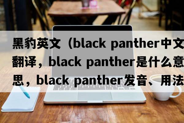 黑豹英文（black panther中文翻譯，black panther是什么意思，black panther發(fā)音、用法及例句）