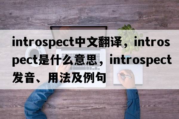 introspect中文翻譯，introspect是什么意思，introspect發(fā)音、用法及例句