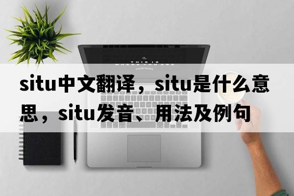 situ中文翻譯，situ是什么意思，situ發(fā)音、用法及例句