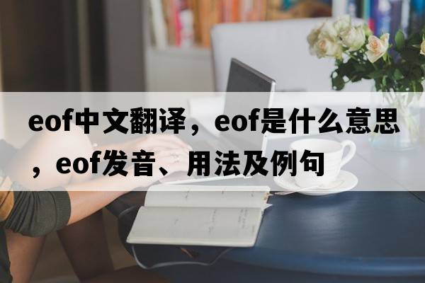 eof中文翻譯，eof是什么意思，eof發(fā)音、用法及例句