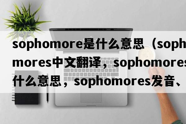 sophomore是什么意思（sophomores中文翻譯，sophomores是什么意思，sophomores發(fā)音、用法及例句）