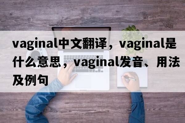 vaginal中文翻譯，vaginal是什么意思，vaginal發(fā)音、用法及例句
