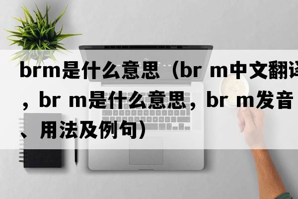 brm是什么意思（br m中文翻譯，br m是什么意思，br m發(fā)音、用法及例句）