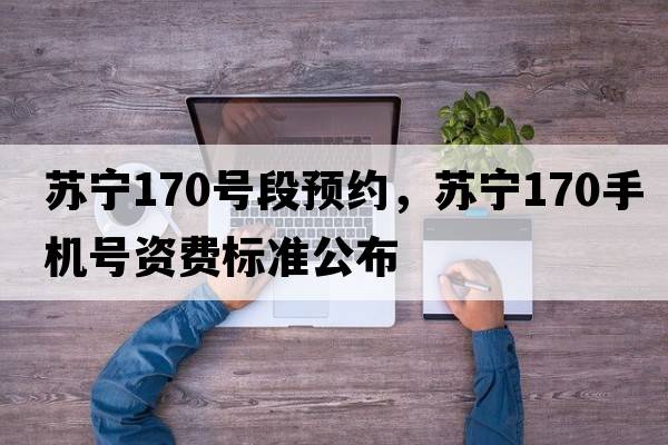 蘇寧170號段預約，蘇寧170手機號資費標準公布