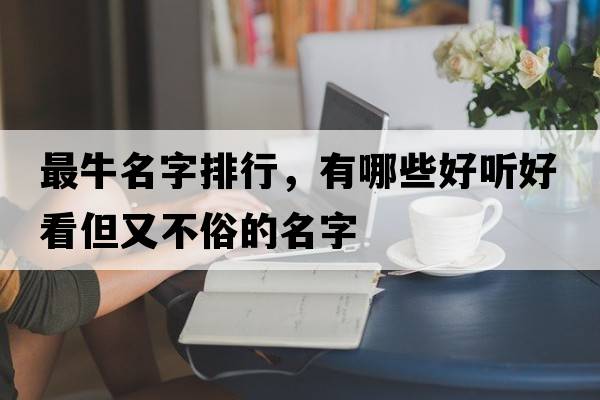 最牛名字排行，有哪些好聽(tīng)好看但又不俗的名字